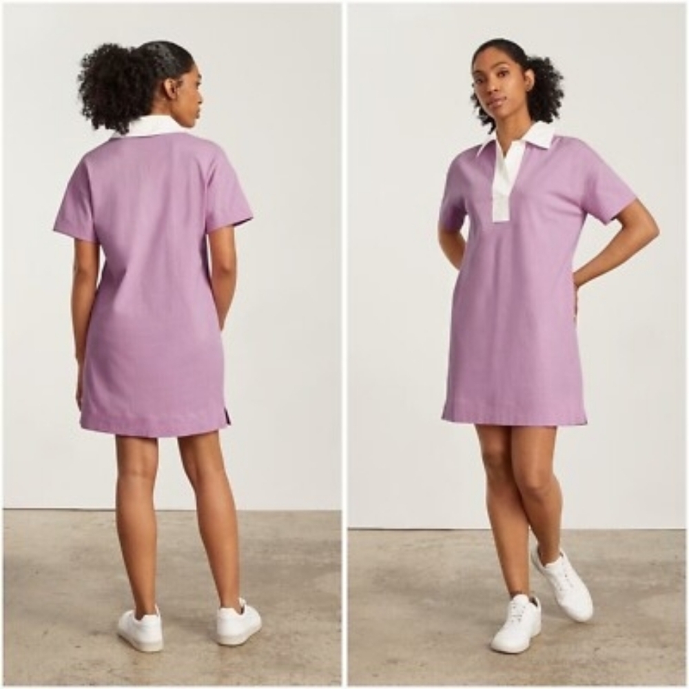 Everlane Organic Cotton Collared Polo Dress Mauve Pink NEW